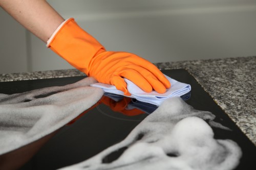 Rug cleaning in a bright living room with a vacuum and fresh fibers