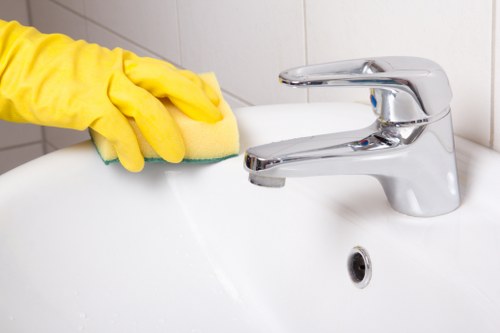 Stain removal and rug care tips for maintaining clean carpets