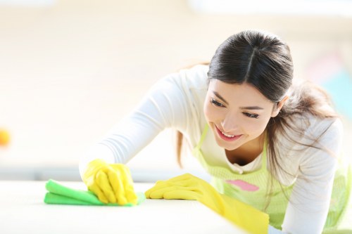 Deep cleaning equipment for carpet cleaning service