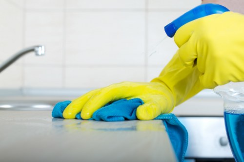 Routine rug cleaning and vacuuming in a home interior